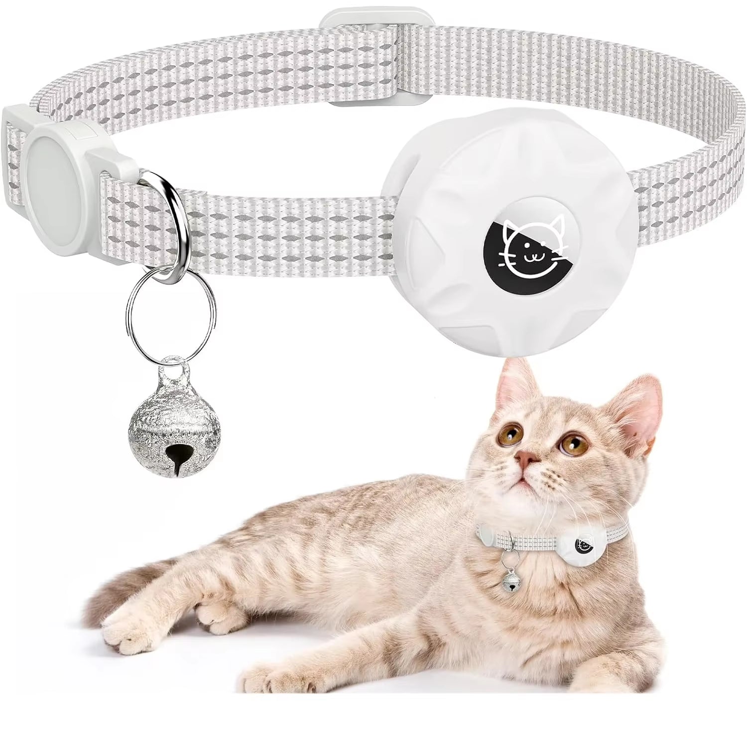 Houd je kat veilig terwijl hij vrij speelt!